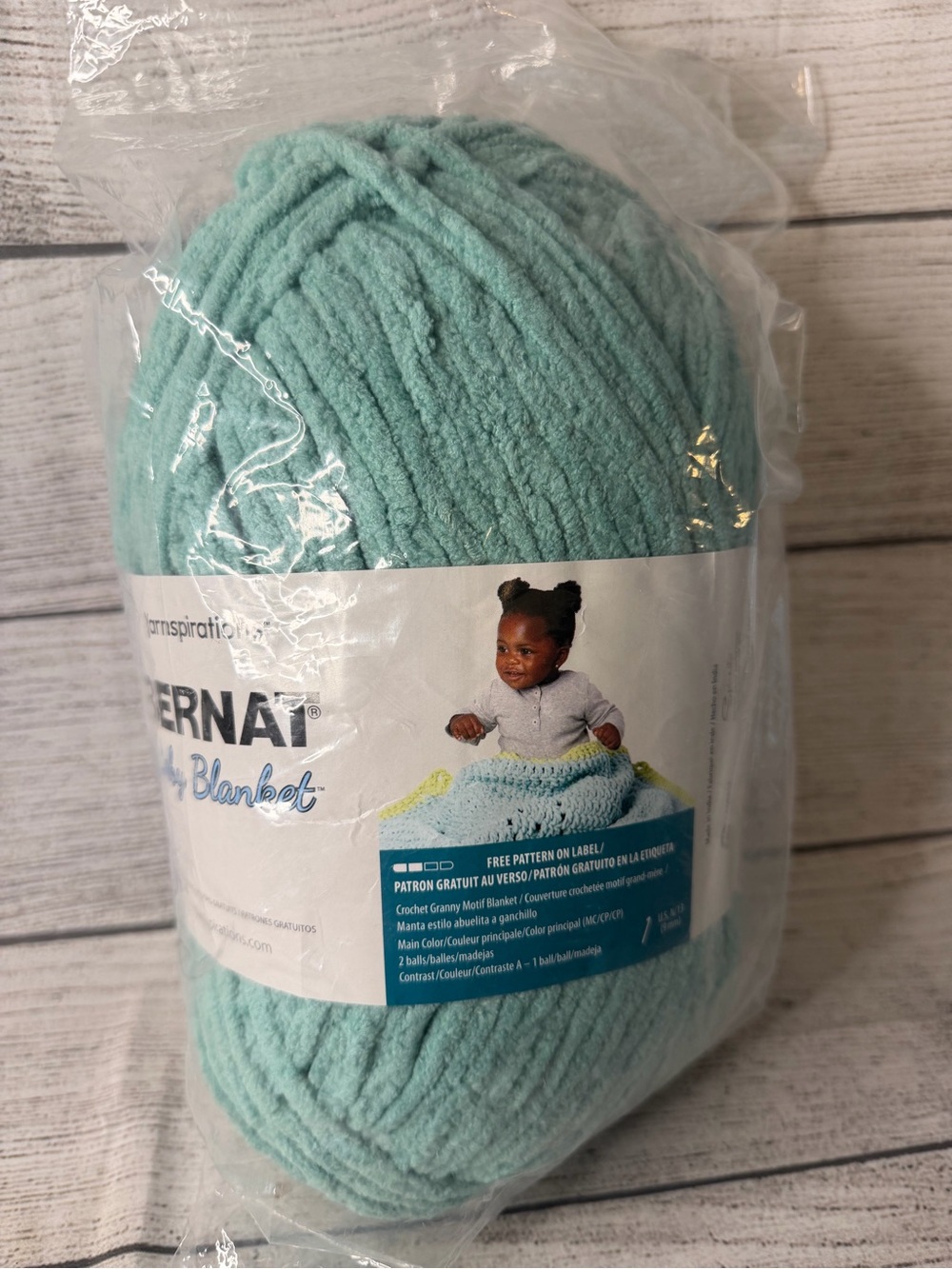 Bernat Cozy Blanket Yarn - Soft Mint Green